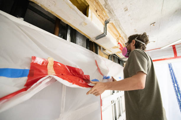 Best Mold Documentation for Insurance Claims  in Holt, AL