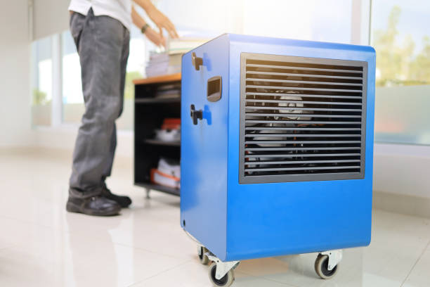 Best Industrial Mold Remediation  in Holt, AL